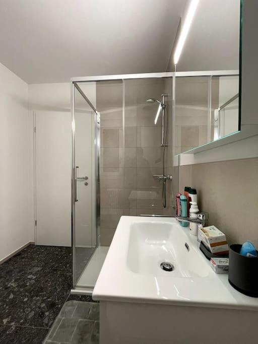 Five Stars Comfort Apartment Lugano Near The Lake Екстер'єр фото