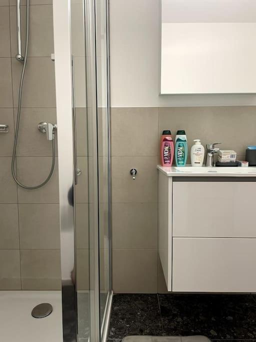 Five Stars Comfort Apartment Lugano Near The Lake Екстер'єр фото