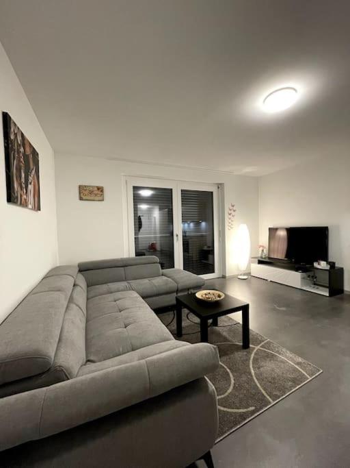 Five Stars Comfort Apartment Lugano Near The Lake Екстер'єр фото